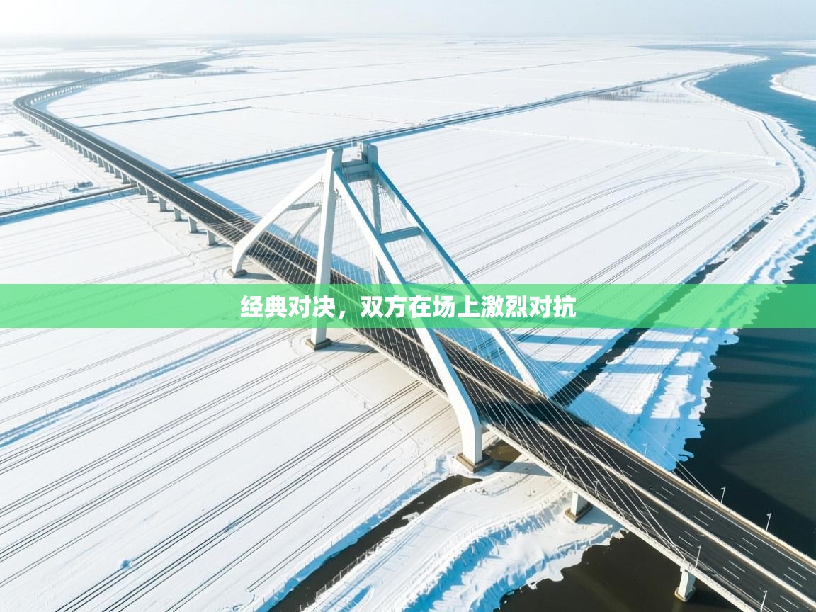 经典对决，双方在场上激烈对抗  第2张