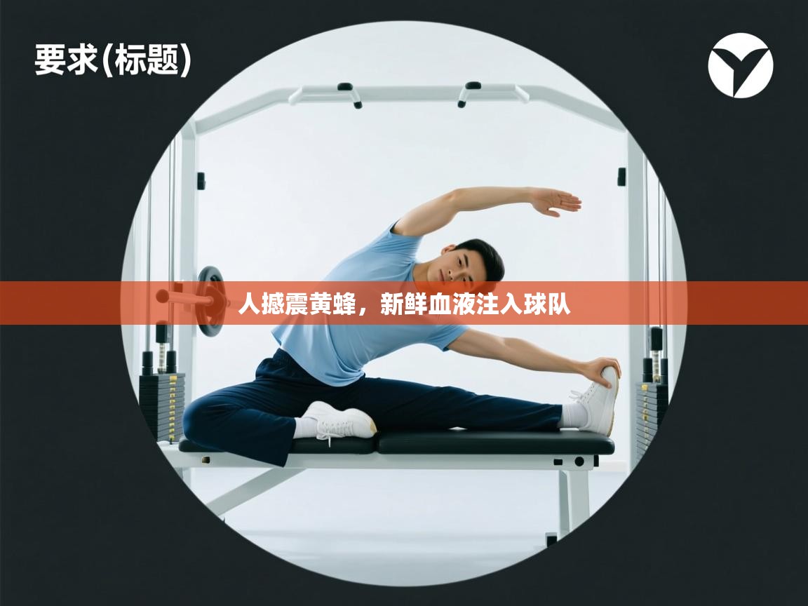 人撼震黄蜂，新鲜血液注入球队  第1张