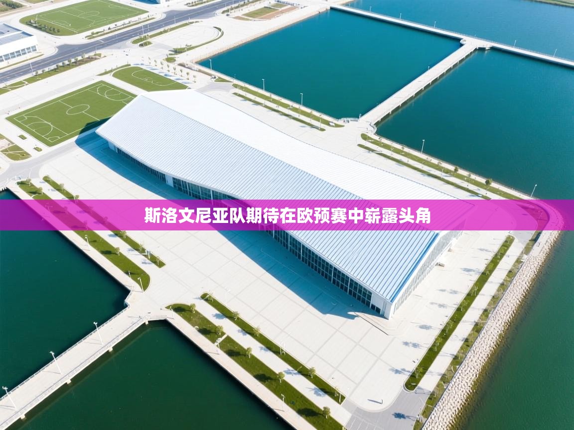 斯洛文尼亚队期待在欧预赛中崭露头角  第1张