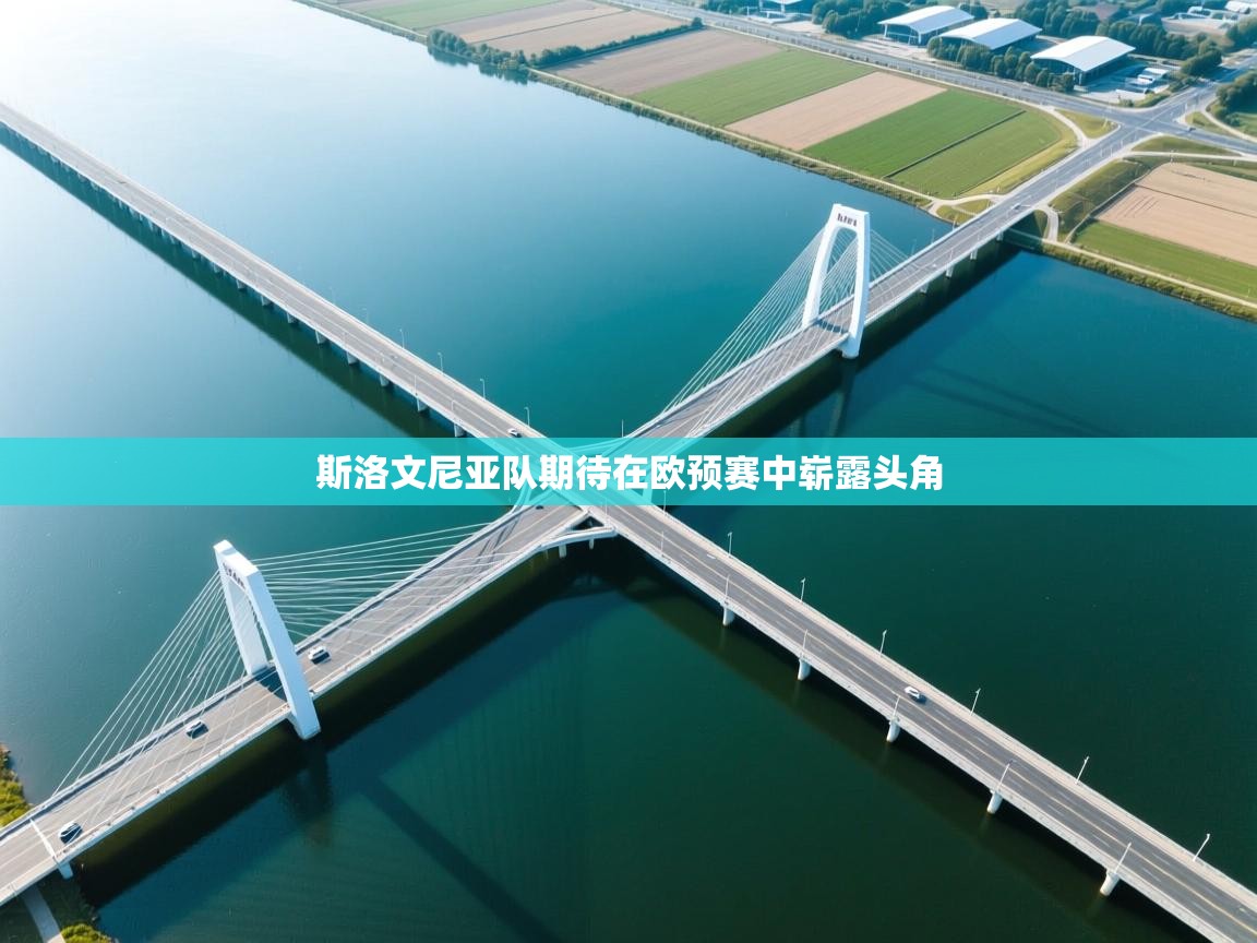 斯洛文尼亚队期待在欧预赛中崭露头角  第2张